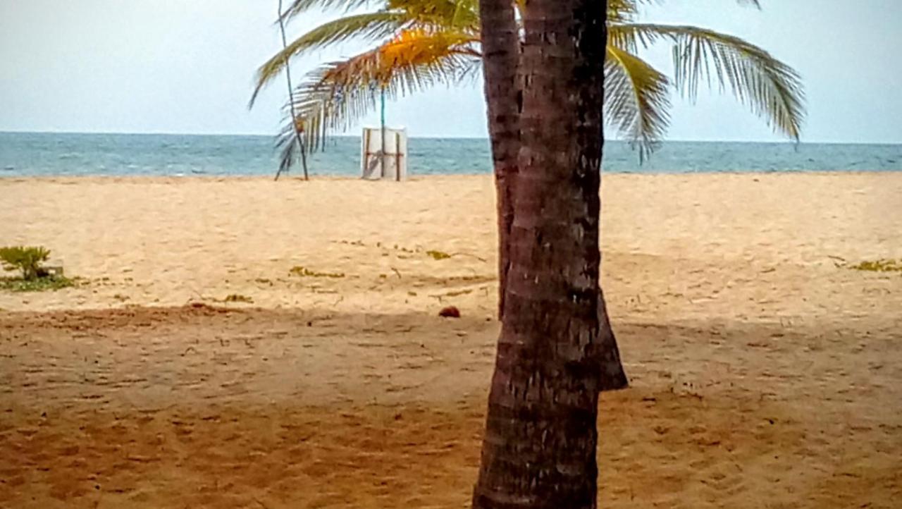 Eco Cabanas Marakolliya Tangalle Ngoại thất bức ảnh